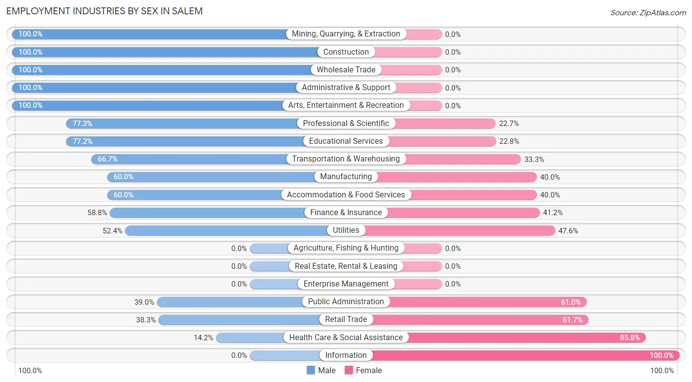 Employment Industries by Sex in Salem