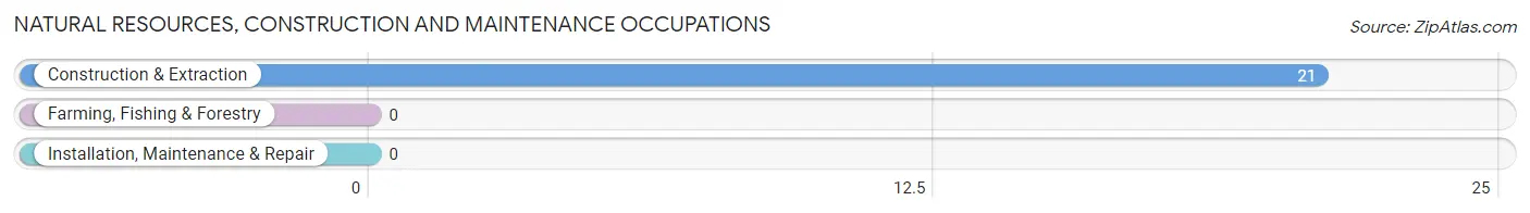 Natural Resources, Construction and Maintenance Occupations in Salem