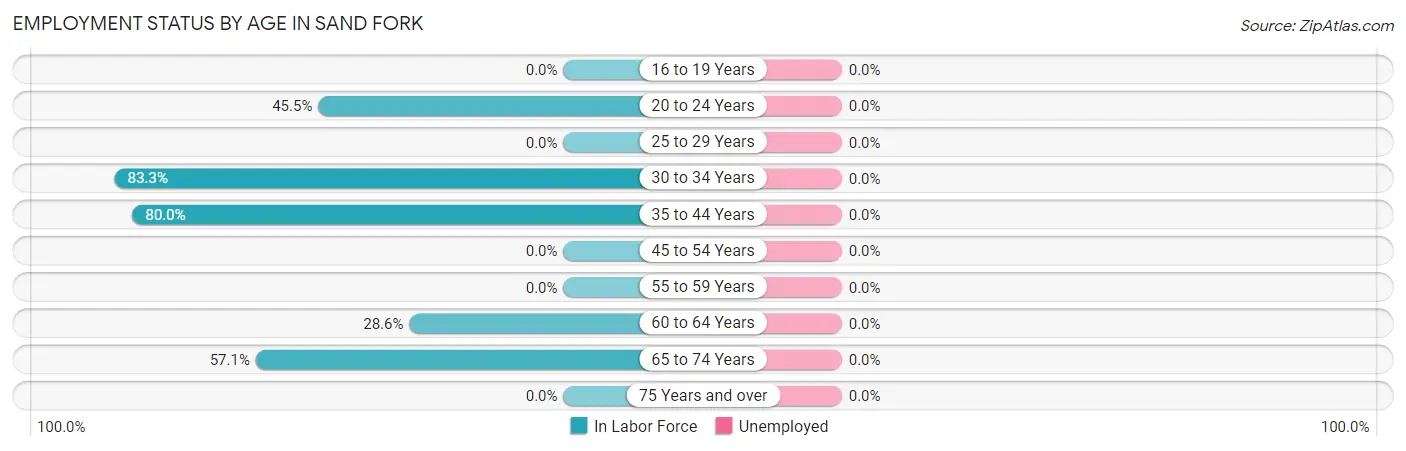 Employment Status by Age in Sand Fork