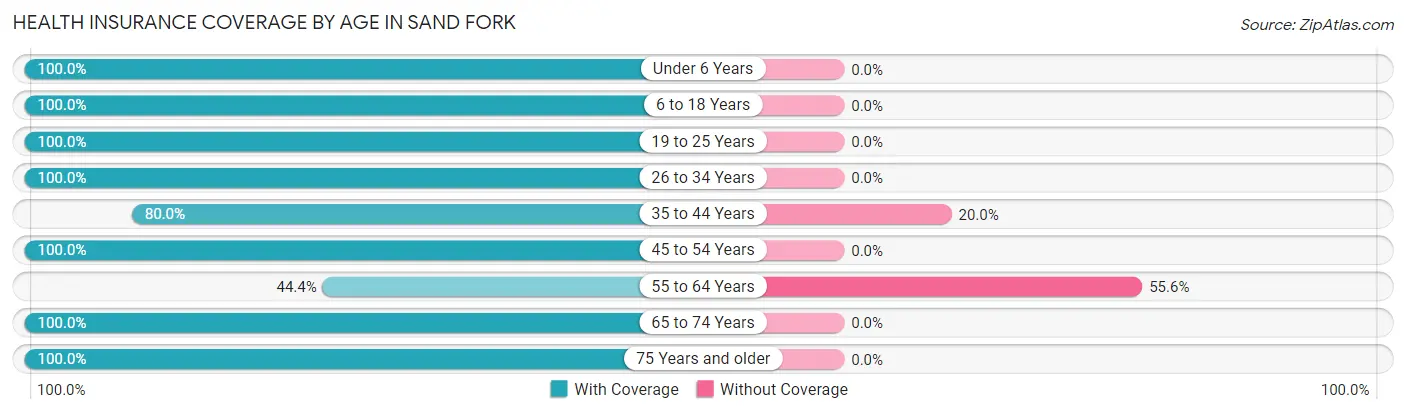 Health Insurance Coverage by Age in Sand Fork