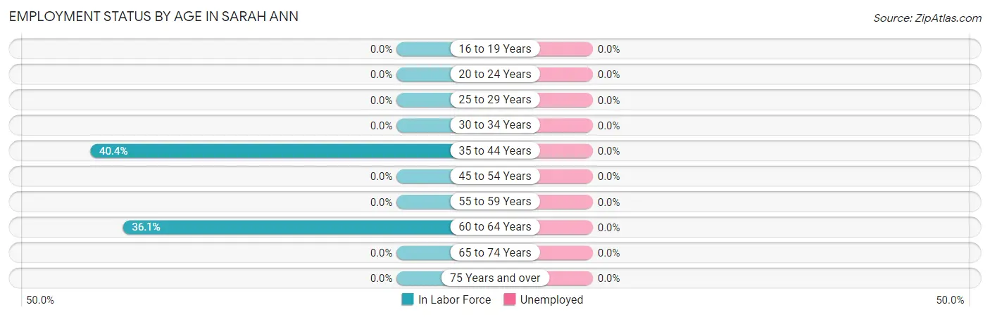 Employment Status by Age in Sarah Ann