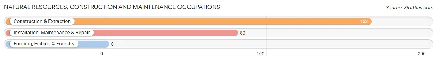 Natural Resources, Construction and Maintenance Occupations in Shannondale