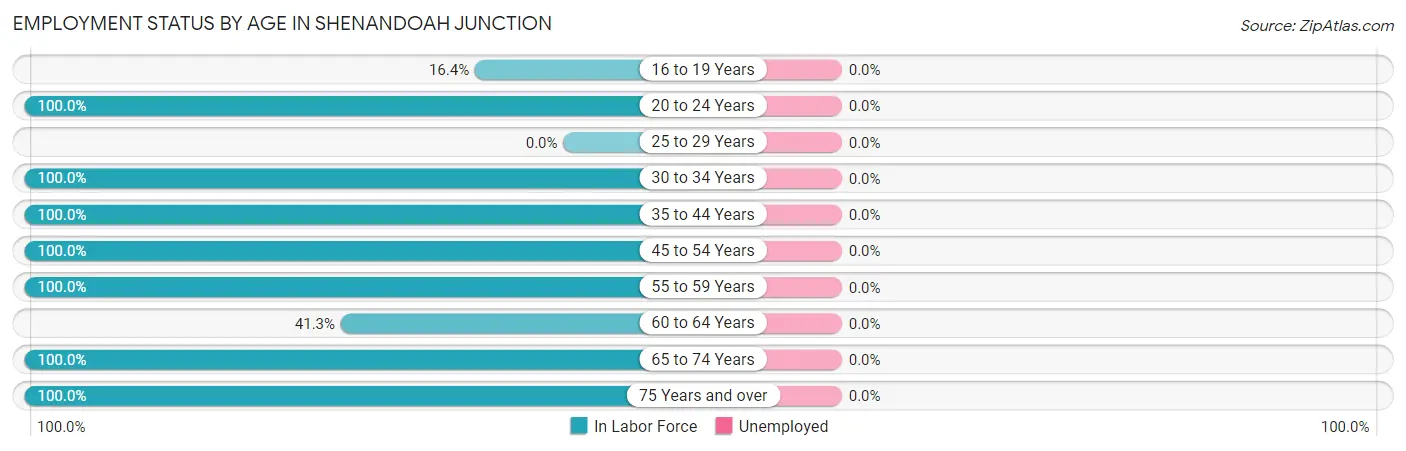 Employment Status by Age in Shenandoah Junction