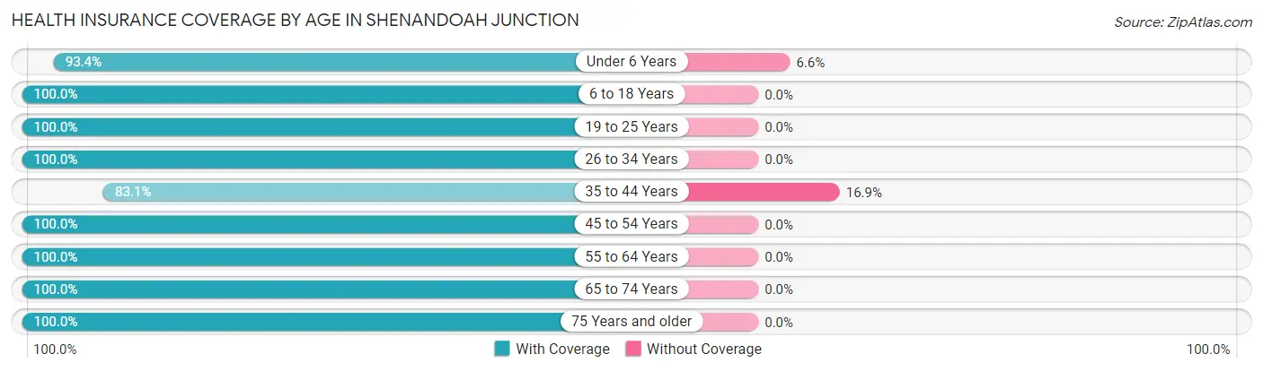 Health Insurance Coverage by Age in Shenandoah Junction