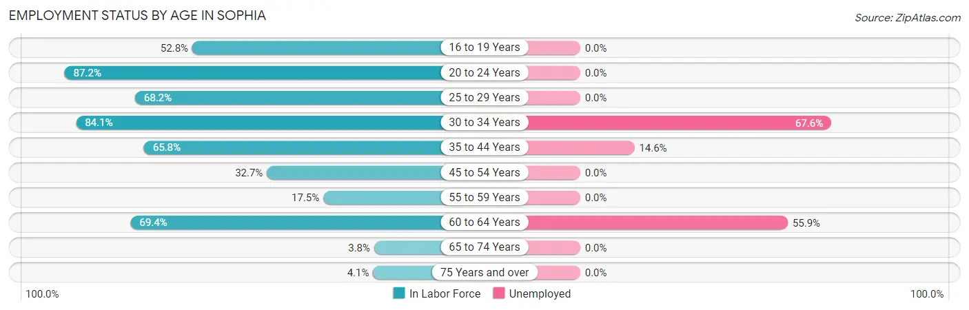 Employment Status by Age in Sophia