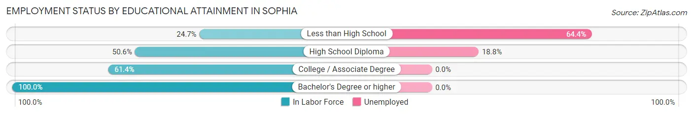 Employment Status by Educational Attainment in Sophia