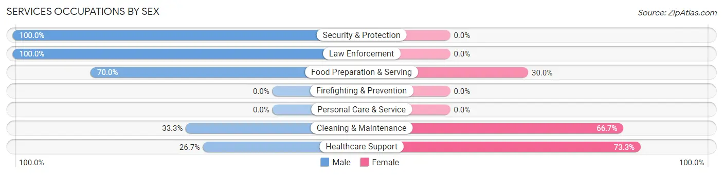 Services Occupations by Sex in Spencer