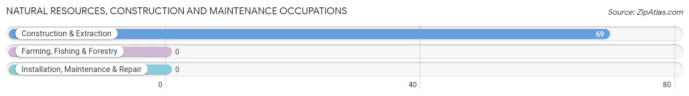 Natural Resources, Construction and Maintenance Occupations in Summersville