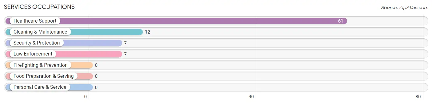 Services Occupations in Tornado