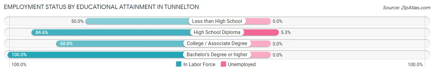 Employment Status by Educational Attainment in Tunnelton