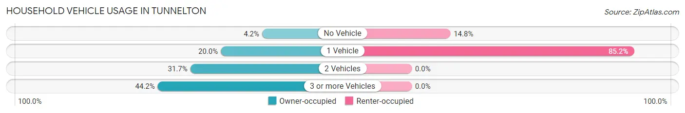 Household Vehicle Usage in Tunnelton