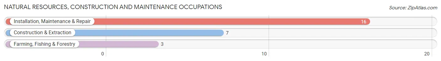 Natural Resources, Construction and Maintenance Occupations in Tunnelton