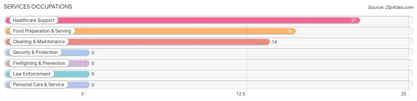 Services Occupations in Tunnelton