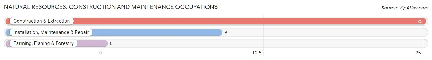 Natural Resources, Construction and Maintenance Occupations in Valley Grove