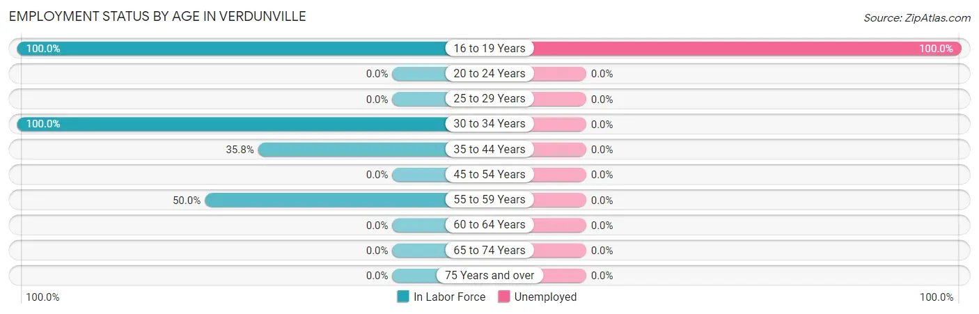 Employment Status by Age in Verdunville