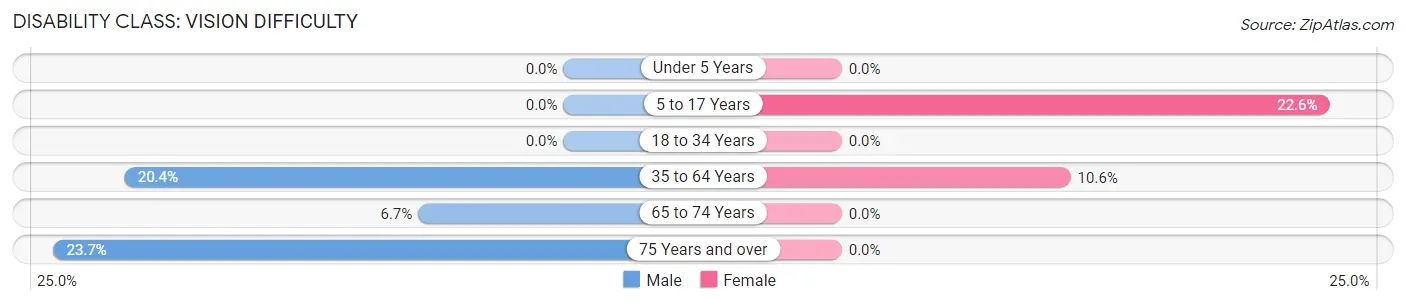 Disability in Welch: <span>Vision Difficulty</span>