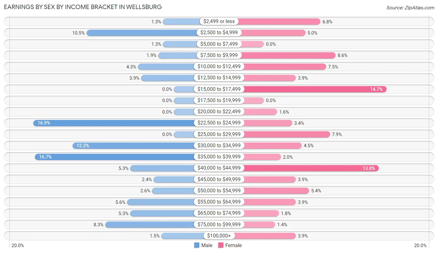 Earnings by Sex by Income Bracket in Wellsburg