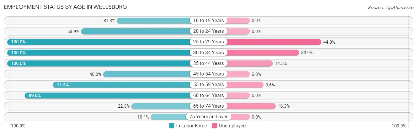Employment Status by Age in Wellsburg