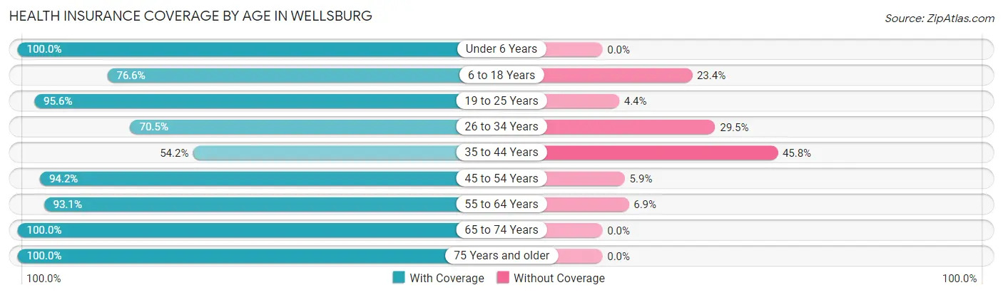 Health Insurance Coverage by Age in Wellsburg