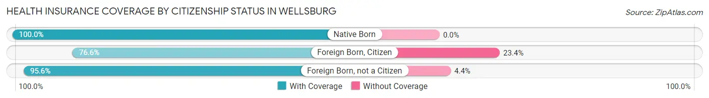 Health Insurance Coverage by Citizenship Status in Wellsburg