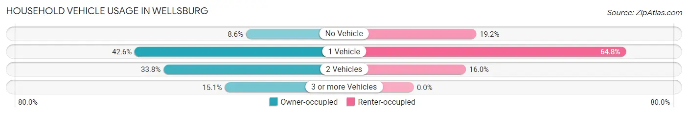 Household Vehicle Usage in Wellsburg