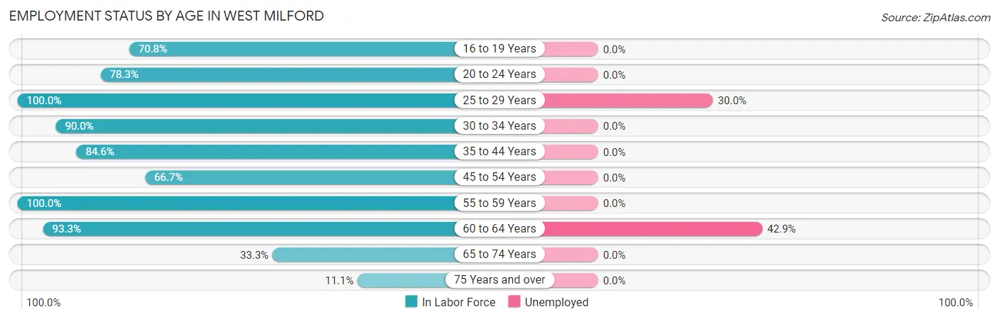 Employment Status by Age in West Milford