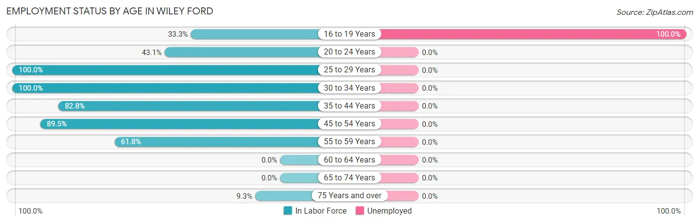 Employment Status by Age in Wiley Ford