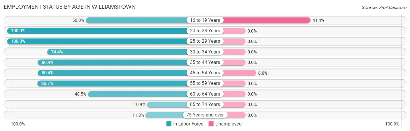 Employment Status by Age in Williamstown