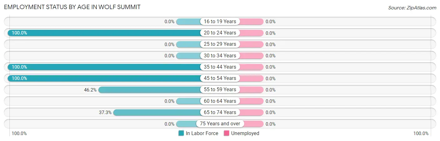 Employment Status by Age in Wolf Summit