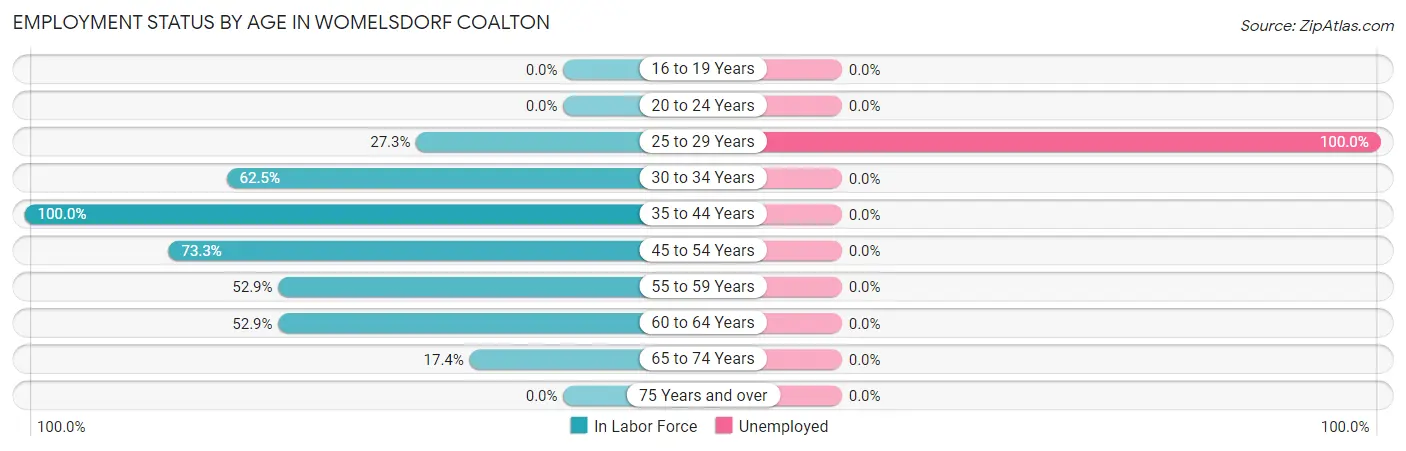 Employment Status by Age in Womelsdorf Coalton