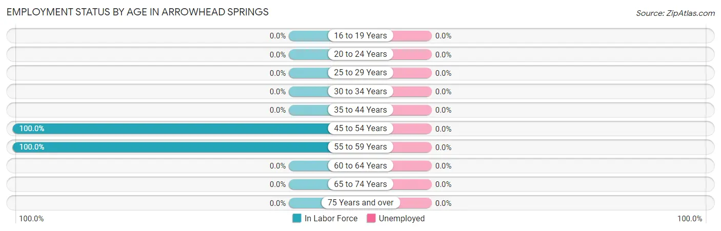 Employment Status by Age in Arrowhead Springs