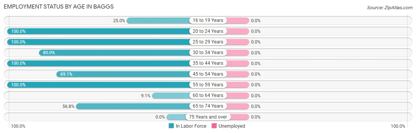 Employment Status by Age in Baggs