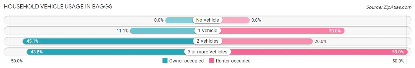Household Vehicle Usage in Baggs