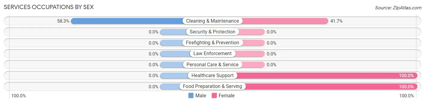 Services Occupations by Sex in Baggs