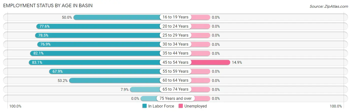 Employment Status by Age in Basin