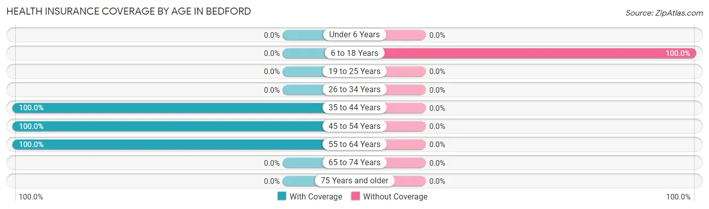 Health Insurance Coverage by Age in Bedford