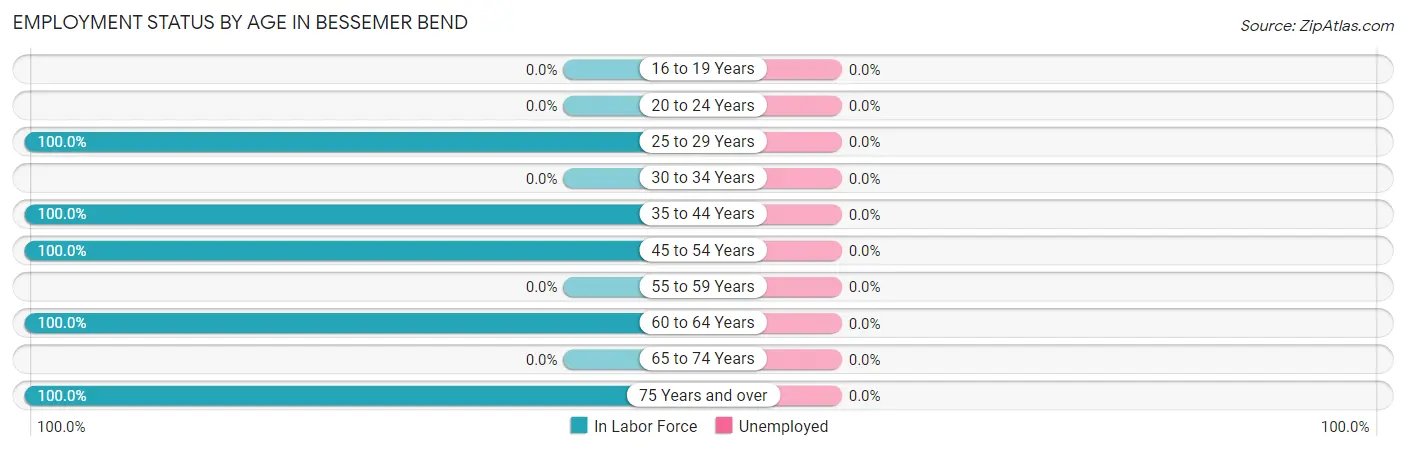 Employment Status by Age in Bessemer Bend