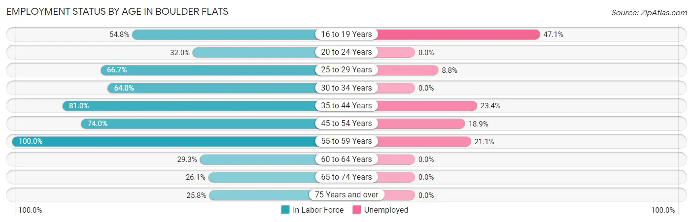 Employment Status by Age in Boulder Flats