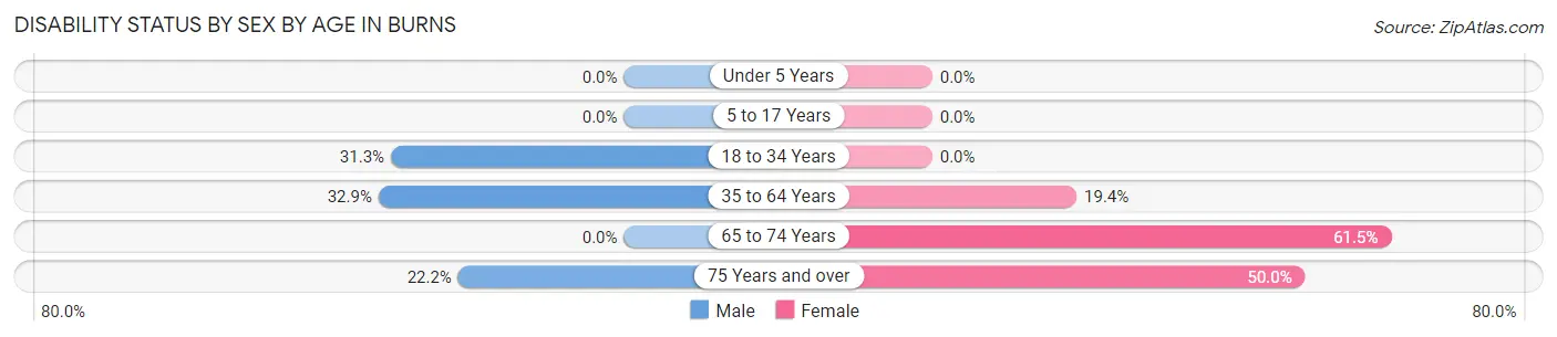Disability Status by Sex by Age in Burns