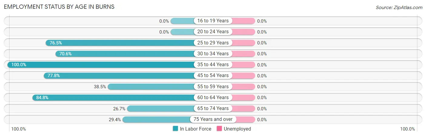 Employment Status by Age in Burns
