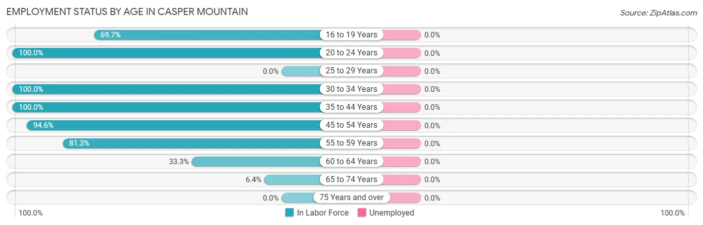 Employment Status by Age in Casper Mountain