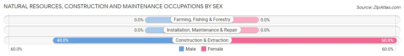 Natural Resources, Construction and Maintenance Occupations by Sex in Chugcreek