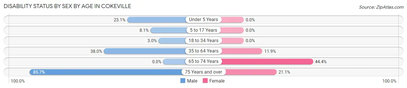 Disability Status by Sex by Age in Cokeville