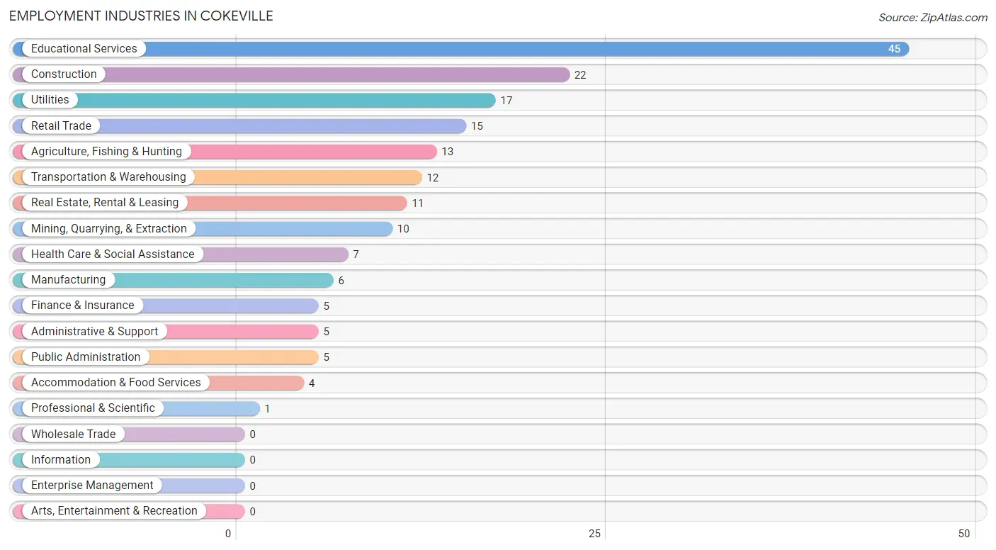 Employment Industries in Cokeville