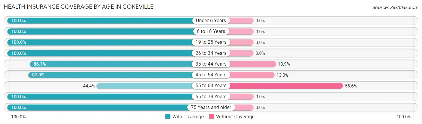 Health Insurance Coverage by Age in Cokeville