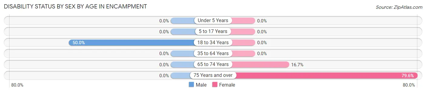 Disability Status by Sex by Age in Encampment