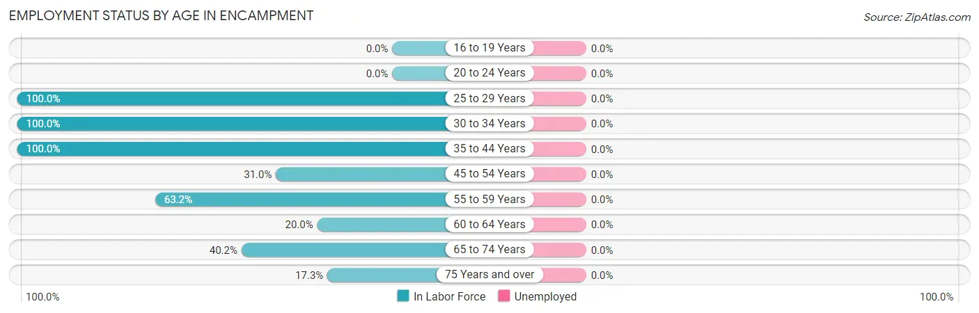Employment Status by Age in Encampment