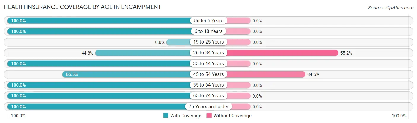 Health Insurance Coverage by Age in Encampment