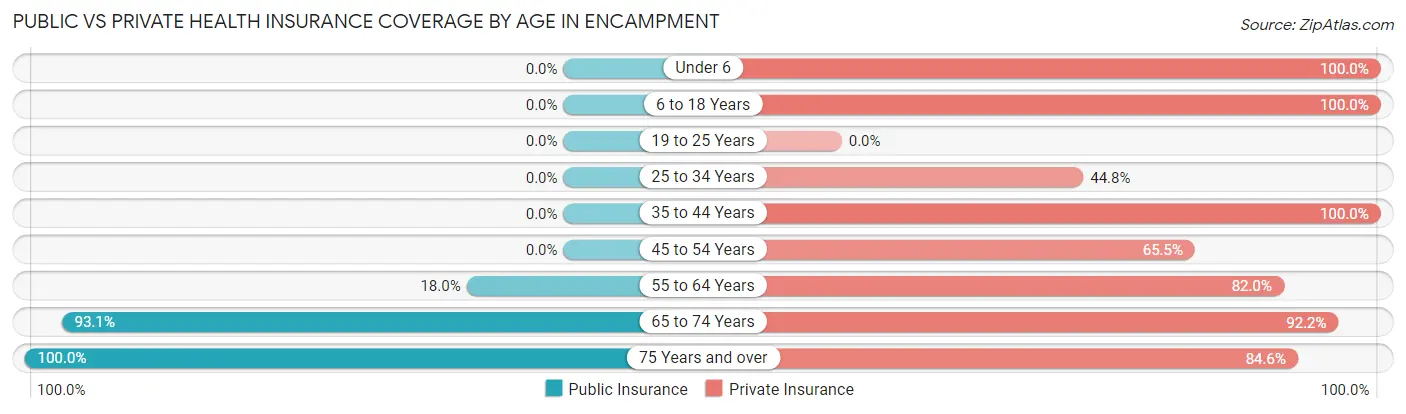 Public vs Private Health Insurance Coverage by Age in Encampment