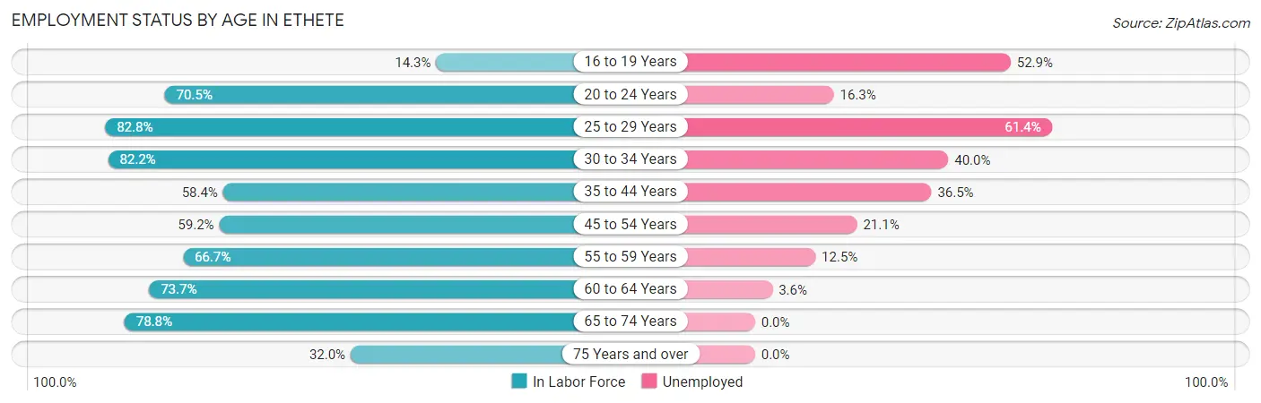 Employment Status by Age in Ethete